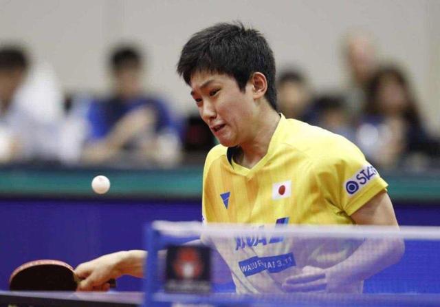 的自律和训 的自律和训