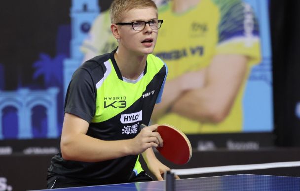 感角色与临 感角色与临