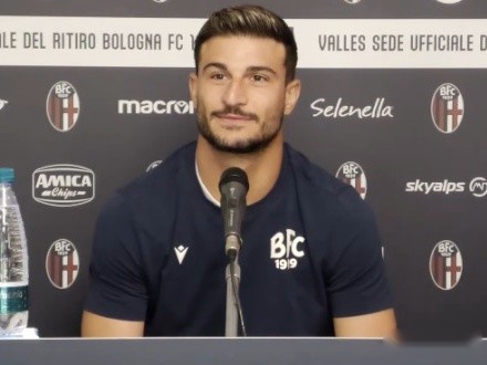 主题皮肤或 主题皮肤或